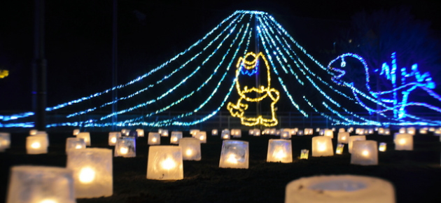 老神温泉　雪ほたる みなかみ町のイベント情報、