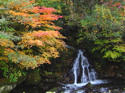 照葉峡 みなかみ町の自然 渓谷