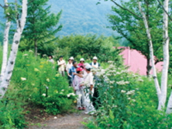 宝台樹やすらぎの森自然花苑 みなかみ町の自然 高原